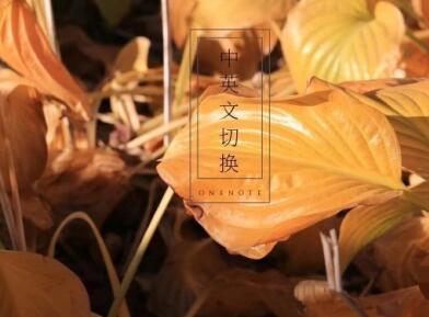 網站中英文切換怎么做？