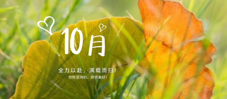 蓄力下半場|“十不我待，吾力全開”！網站設計、網站優化都快做起來！